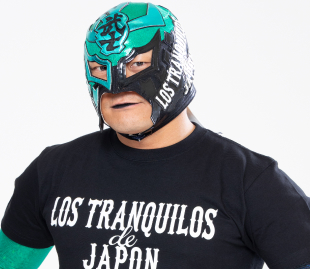 BUSHI