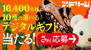 【テレボート会員限定】クマホンドリーム開催中！