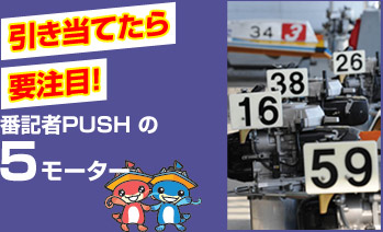 引き当てたら要注目!　番記者PUSHの5モーター
